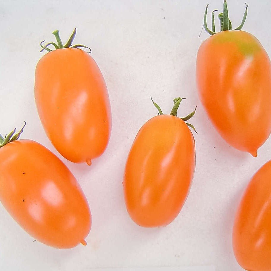 Orange Icicle Tomato - Organic - Greta's Family Gardens