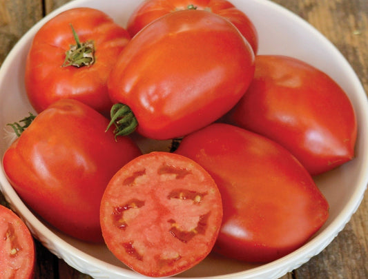 Oregon Star Tomato - Organic - Greta's Family Gardens