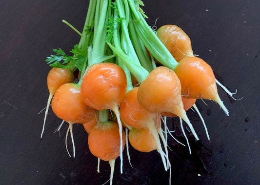 Paris Market Carrots - Greta's Family Gardens