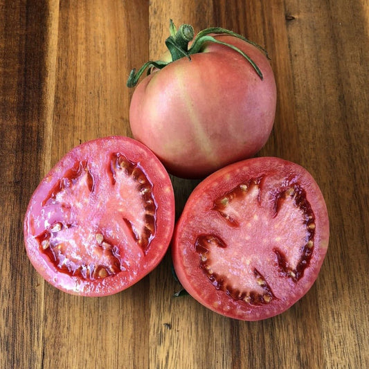 Peach Blow Sutton Tomato - Organic - Greta's Family Gardens