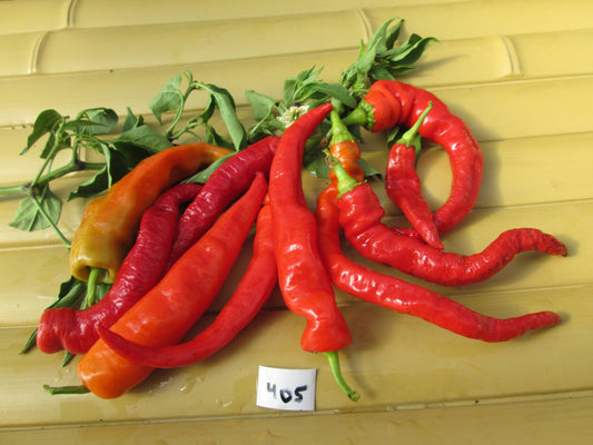 Pepperoncini Pepper - Organic - Greta's Family Gardens