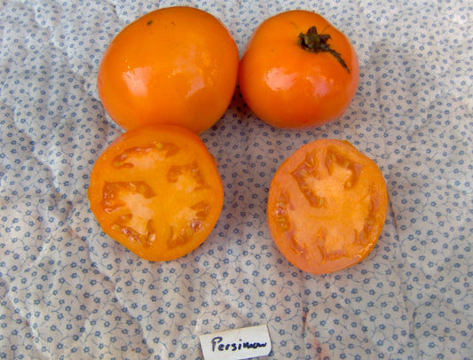 Persimmon Tomato - Organic - Greta's Family Gardens