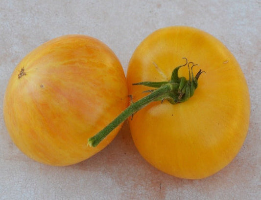 Pineapple Pig Tomato - Organic - Greta's Family Gardens