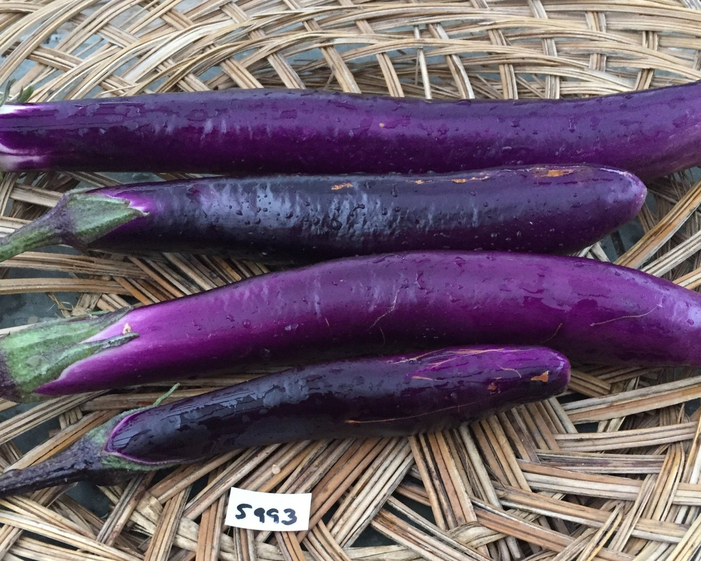 Ping Tung Long Eggplant - Organic - Greta's Family Gardens