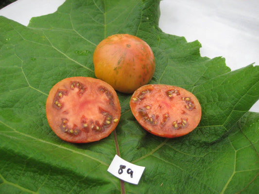 Pink Berkeley Tie Dye Tomato - Organic - Greta's Family Gardens