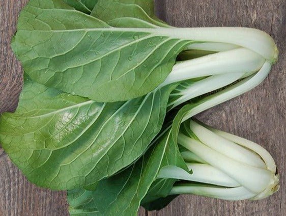 Prize Choy - Organic - Greta's Family Gardens