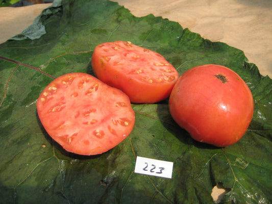 Pruden's Purple Tomato - Organic - Greta's Family Gardens