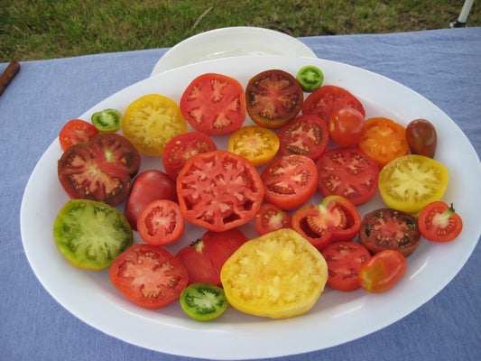 Rainbow Heirloom Tomato Collection - Organic - Greta's Family Gardens