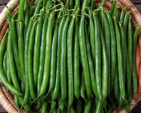 Red Tail Snap Bush Beans - Organic - Greta's Family Gardens