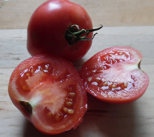 Rose de Berne Tomato - Organic - Greta's Family Gardens