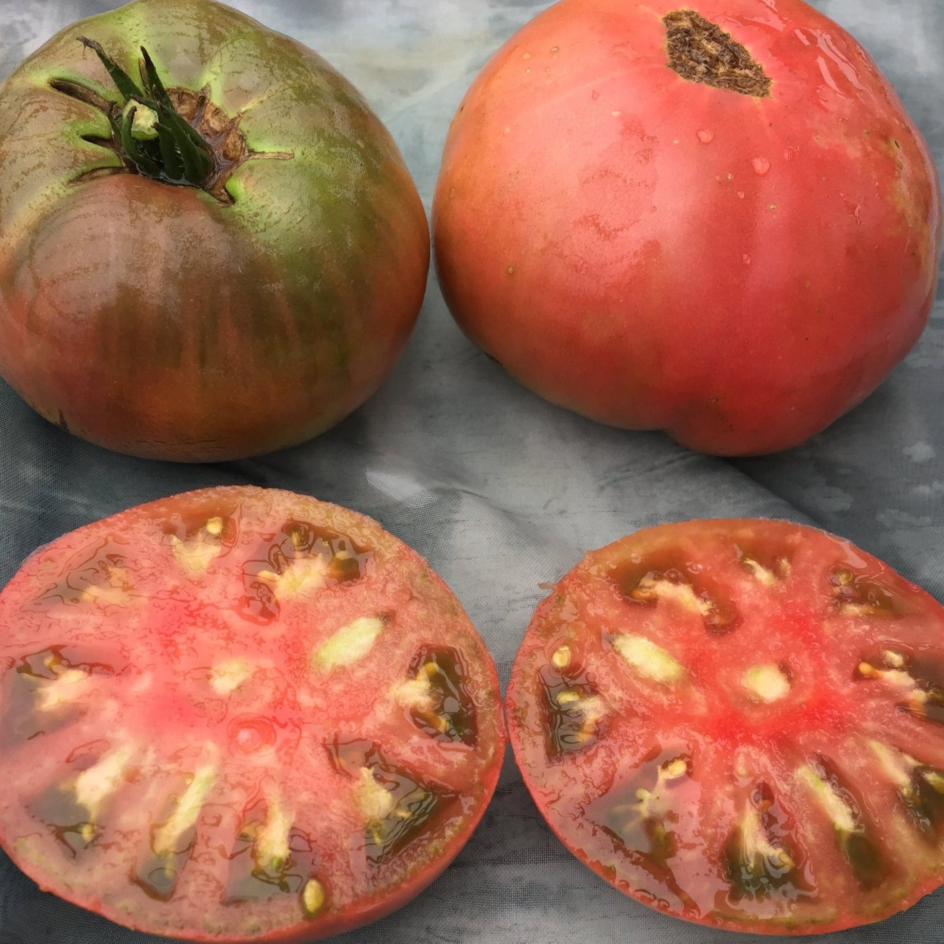 Rosella Purple Tomato - Organic - Greta's Family Gardens