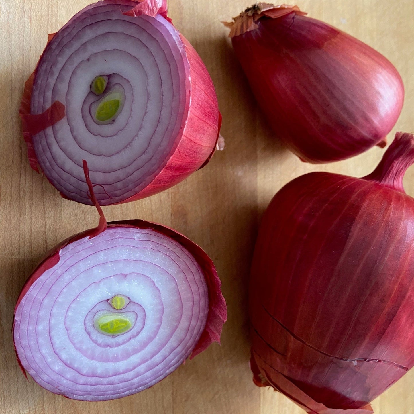 Rossa di Milano Onions - Organic - Greta's Family Gardens