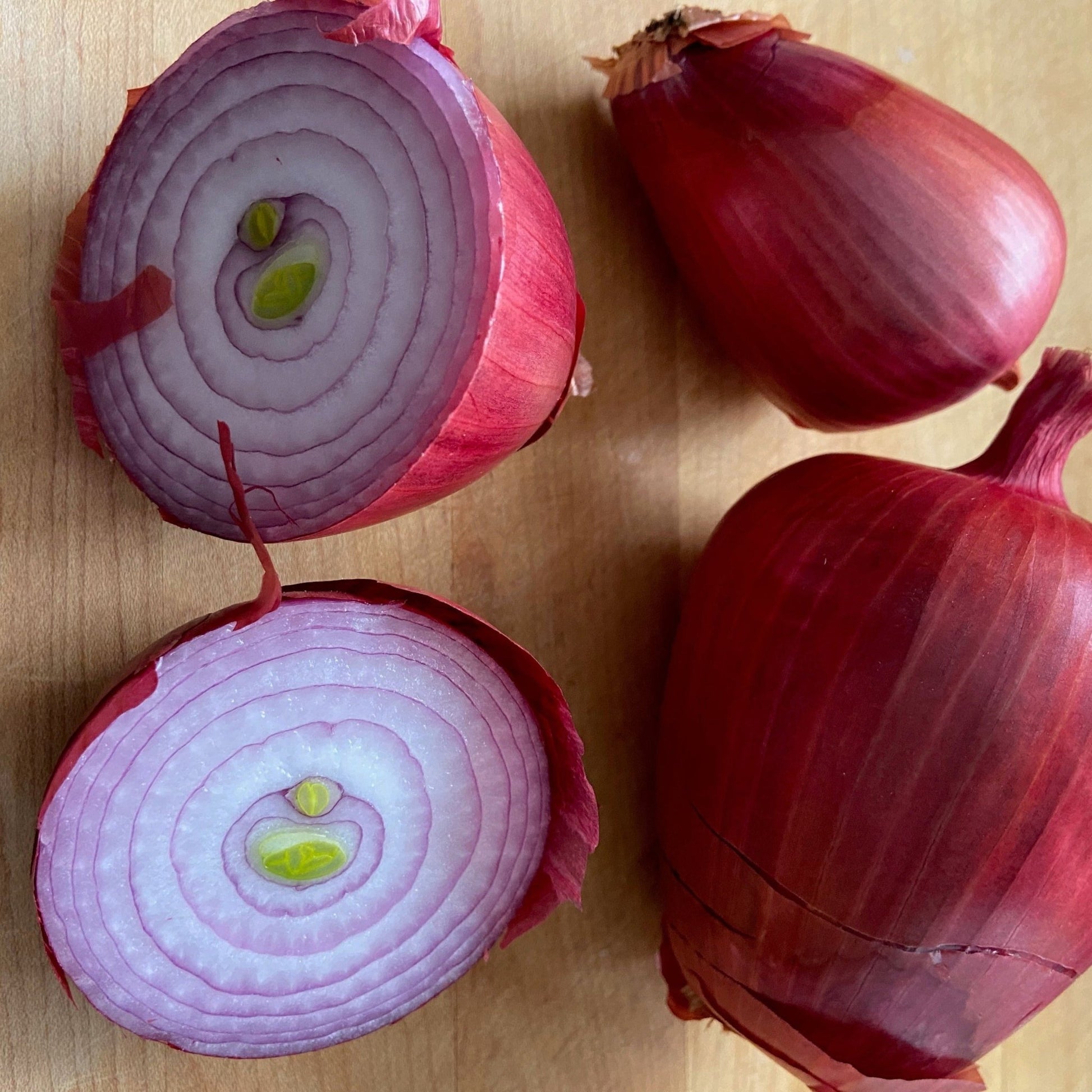 Rossa di Milano Onions - Organic - Greta's Family Gardens