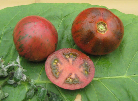 Russian Cossack Tomato - Greta's Family Gardens