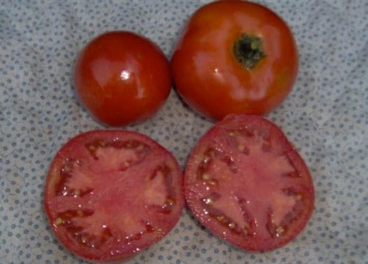 Rutgers Tomato - Organic - Greta's Family Gardens