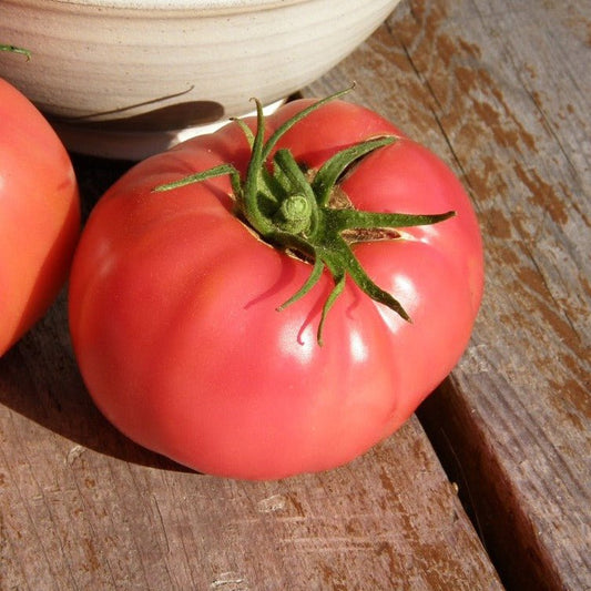 Savignac Tomato - Organic - Greta's Family Gardens