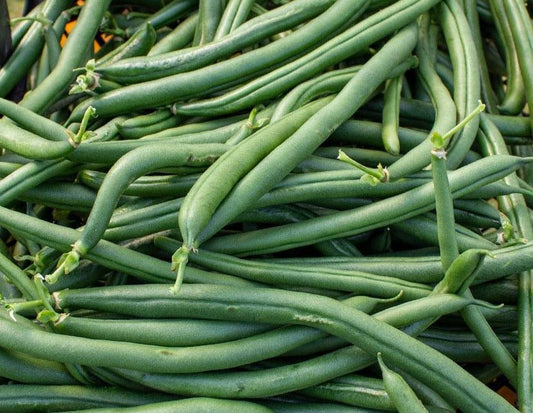 Seychelles Beans - Greta's Family Gardens