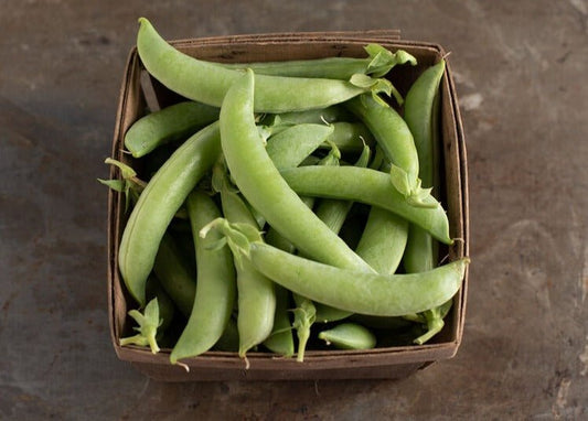 Snap Pea SS 141 - Organic - Greta's Family Gardens