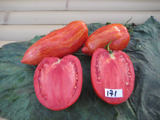 Speckled Roma Tomato - Organic - Greta's Family Gardens