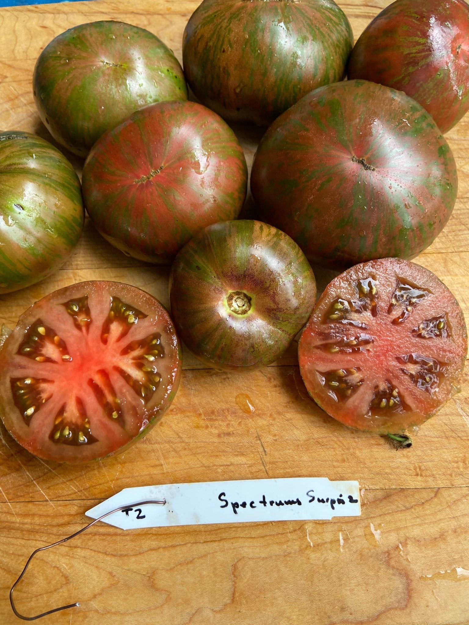 Spectrums Surpriz tomato - Greta's Family Gardens