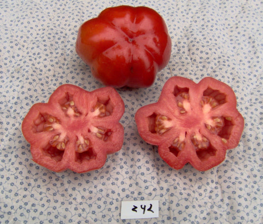 Star Tomato - Organic - Greta's Family Gardens