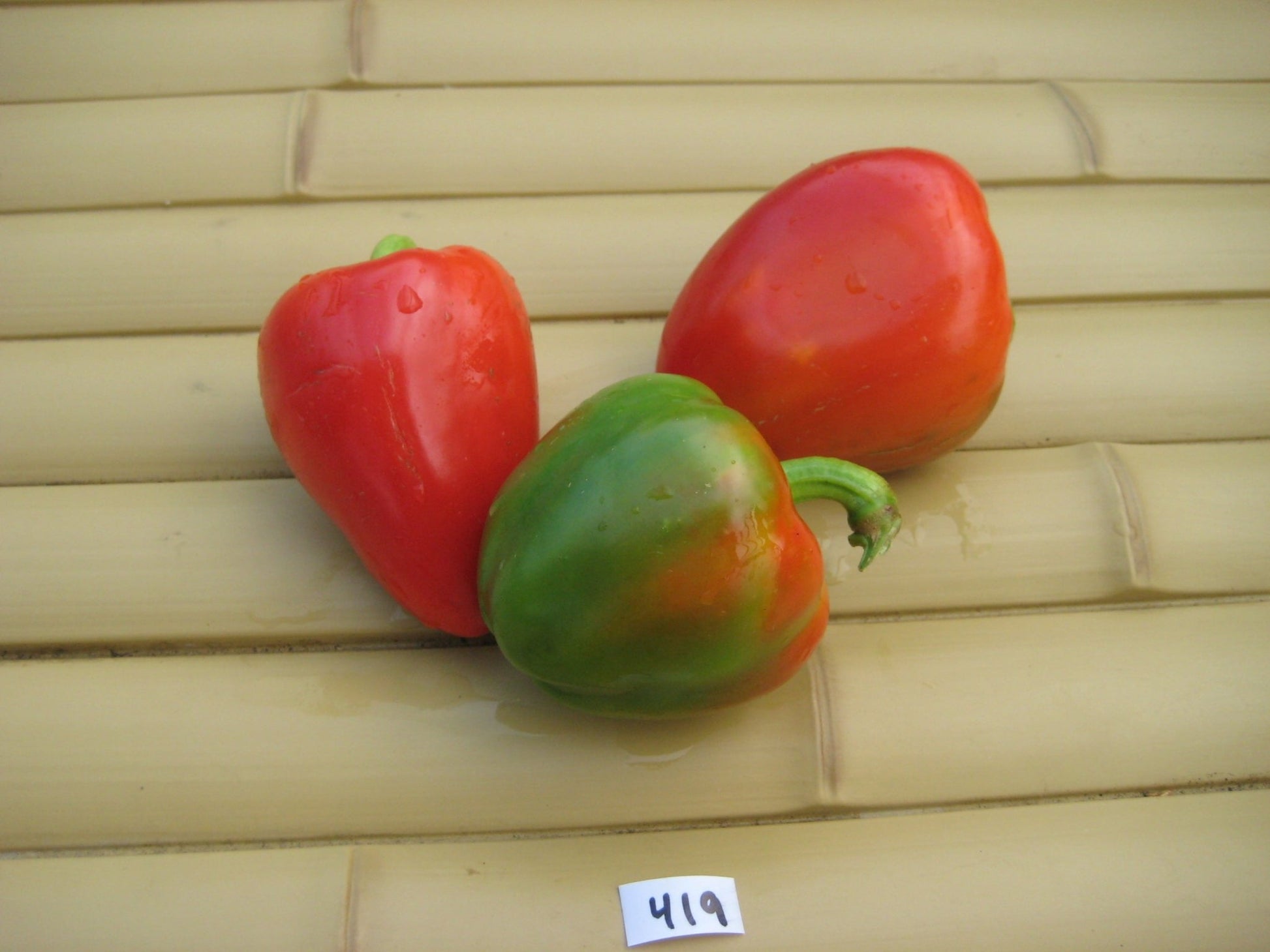 Sweet Pimento Pepper - Greta's Family Gardens