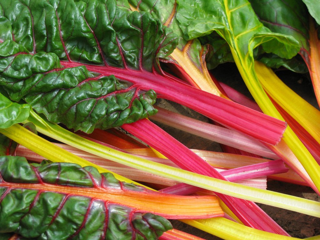 Swiss Chard mix - Greta's Family Gardens