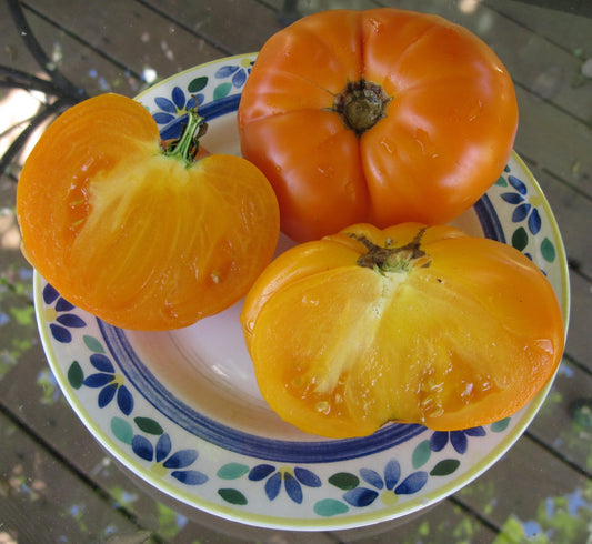 Tangerine Tomato - Organic - Greta's Family Gardens