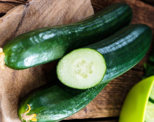 Tendergreen burpless cucumber - Greta's Family Gardens