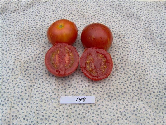 Tiger Tom Tomato - Organic - Greta's Family Gardens