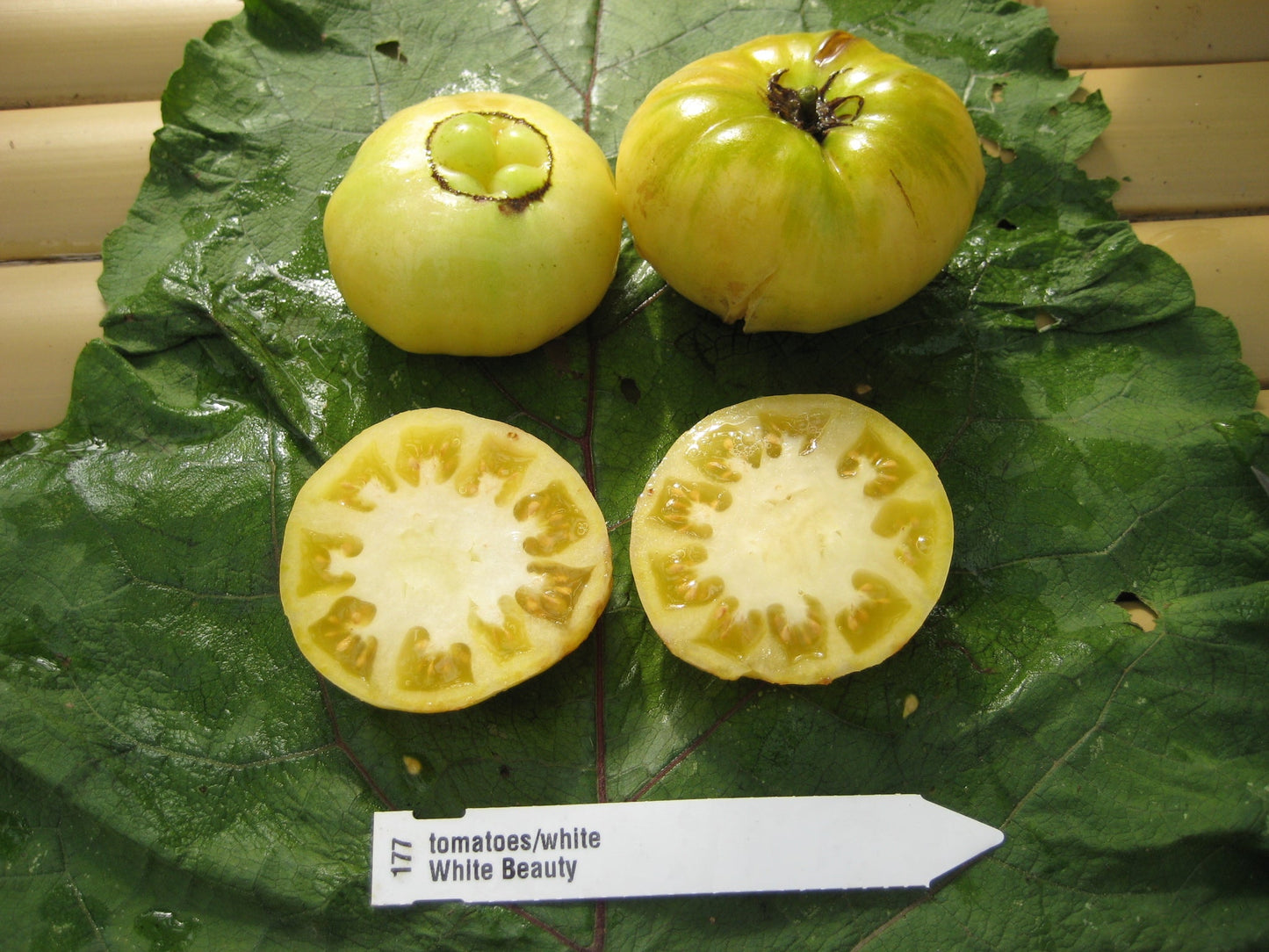 White Beauty Tomato - Organic - Greta's Family Gardens