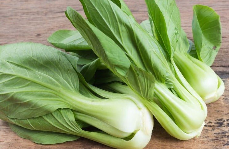 White Stemmed Pac Choy - Organic - Greta's Family Gardens