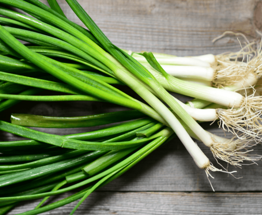 White Welsh Onion - Organic - Greta's Family Gardens