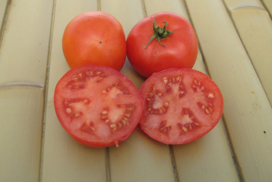 Wisconsin 55 Tomato - Greta's Family Gardens