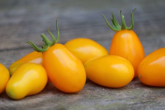 Yellow Plum Cherry Tomato - Organic - Greta's Family Gardens