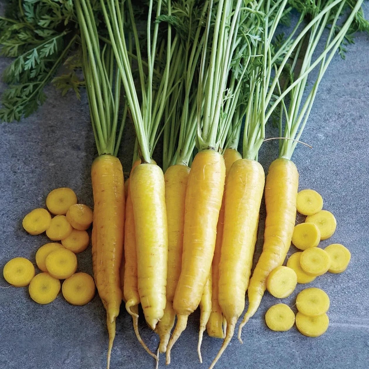 Yellowstone Carrots - Organic - Greta's Family Gardens